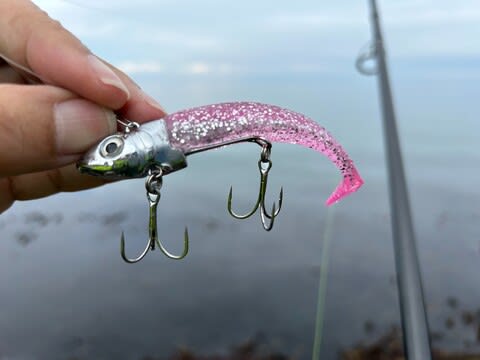 ダイソー ソルト用 ジグヘッド 22g シャッドテールワール