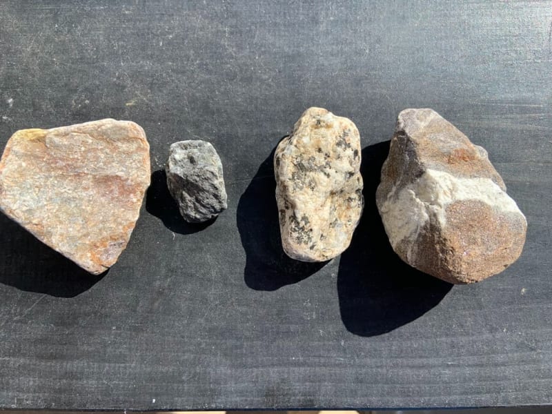 アンチモン川鳥