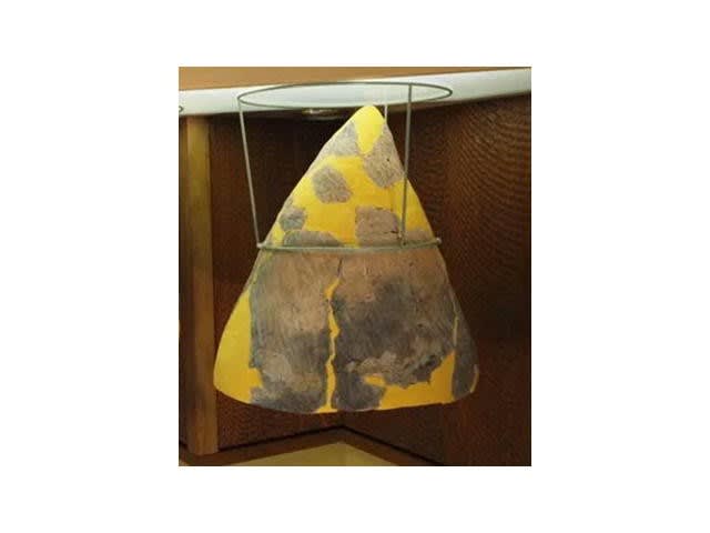 クリスマス特集2024 縄文余話(土器・先尖) - 縄文の風 工芸品