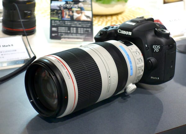 キヤノン新100-400mmズームの感触 - つれづれ写真ノート