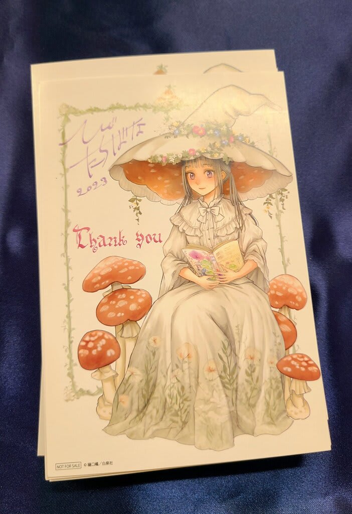 Girl Meets Sweets Dress up Doll Illustration by Sakizo