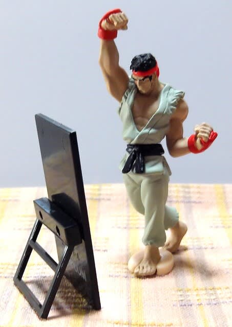 standstones （再販）STREET FIGHTERXGRAPE BRAIN フィギュア