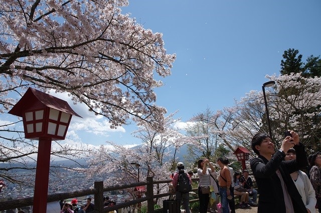 富士山・桜・五重塔 (山梨県富士吉田市) - 小さな旅のアルバムⅡ 富士山・桜・五重塔 (山梨県富士吉田市) - 小さな旅のアルバムⅡ