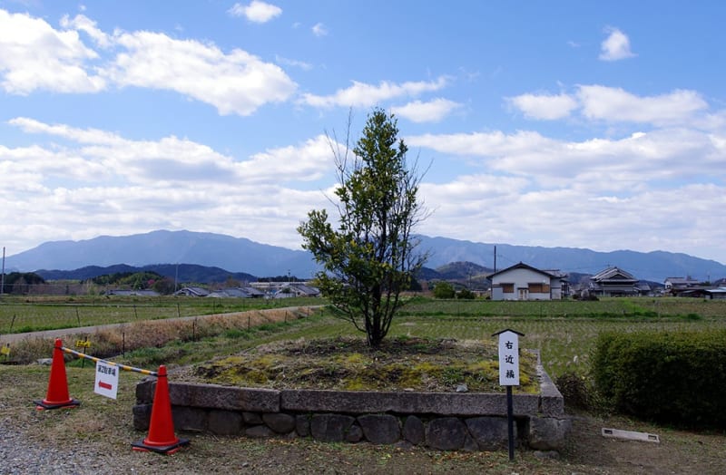 橘寺|奈良県明日香村 ~聖徳太子の生誕地と伝わる太子造立7ヶ寺 橘寺|奈良県明日香村 ~聖徳太子の生誕地と伝わる太子造立7ヶ寺