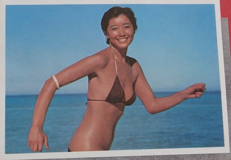 古い店頭等身大看板☆夏目雅子・クッキーフェイス・サンケーキ