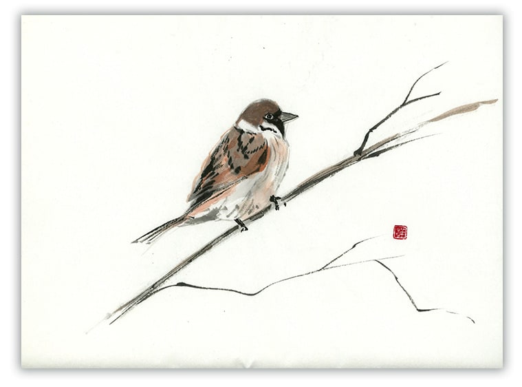 鉛筆画 雀 スズメ