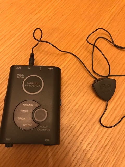 レインソング Rain Song(エレアコ)奮闘記・完結(iRig acoustic