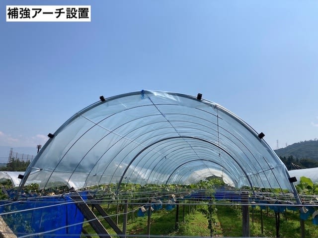 トンネルメッシュ「補強アーチ」 - 株式会社アセラ 園芸資材部