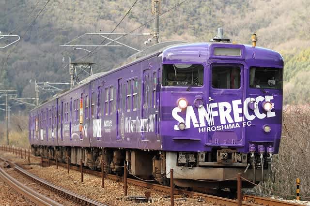 2/25 サンフレッチェ応援ラッピングトレイン 115系 L-17編成