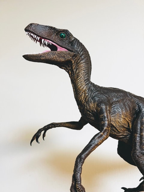 JURASSIC PARK（HORIZON） - MY COLLECTIONS