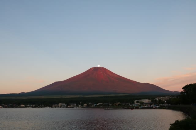 赤富士パワーを超えるといわれるパール富士ダンボール画。