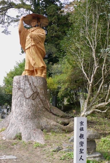樹齢約４００年の大木を彫って姿を現した親鸞聖人像   人は縁・花は色