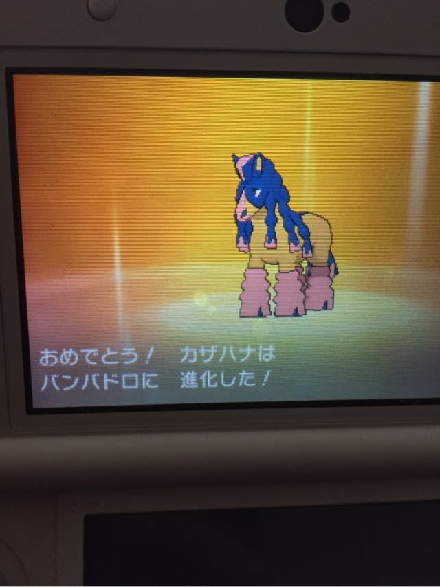 いろちがい バンバドロ やま うみ