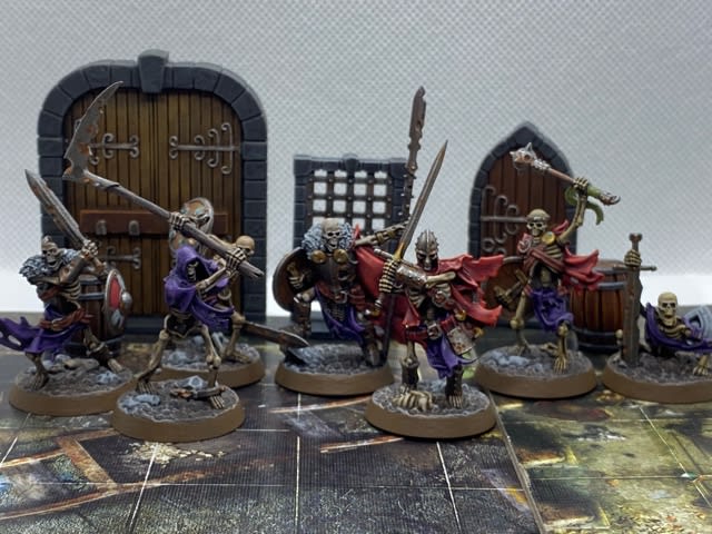 WARHAMMER SHADESPIRE 28mm 墳墓の守り手 ② - ムライ博士の異常