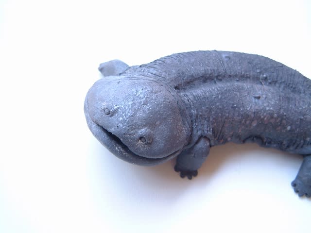 人気!】笠間焼陶芸作家 大崎透さんの爬虫類の写真一覧-ch121865 人気!】笠間焼陶芸作家 大崎透さんの爬虫類の写真一覧-ch121865