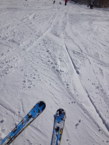 【税込】 SALOMON X-Race 165cmをデビューさせてみた X12 160cm～