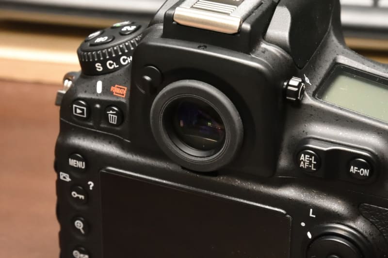 なにをいまさら』のNikon D810 購入記 ~エイプリルフール編 なにをいまさら』のNikon D810 購入記 ~エイプリルフール編