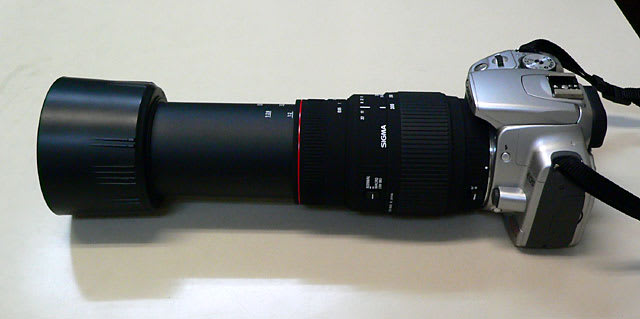 シグマAPO 70-300mm F4-5.6 DG MACRO - Take It Easy ～パパール