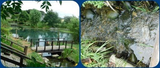 ひょうたん池を訪問 - 気ままな趣味の散歩道