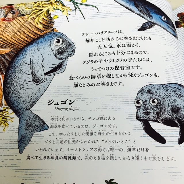 世界で一番美しい絵本図鑑『ワンダーガーデン 生命の扉』 - 帽子