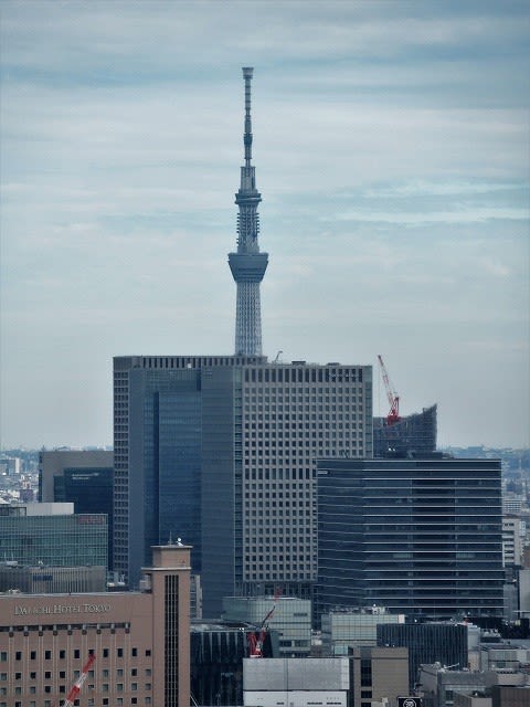 東京タワー 今日60歳の誕生日を迎える - あるきメデス 東京タワー 今日60歳の誕生日を迎える - あるきメデス