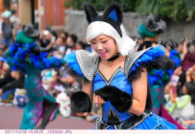 黒猫ダンサー 〈ハロウィーン・ポップンライブ2017〉 TDL 黒猫ダンサー 〈ハロウィーン・ポップンライブ2017〉 TDL