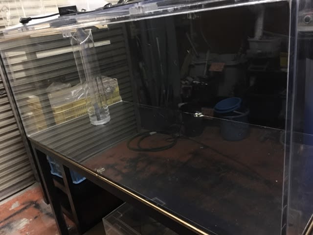 1200/600/500のカンテツ水槽 - ナゴヤアクアズブログ