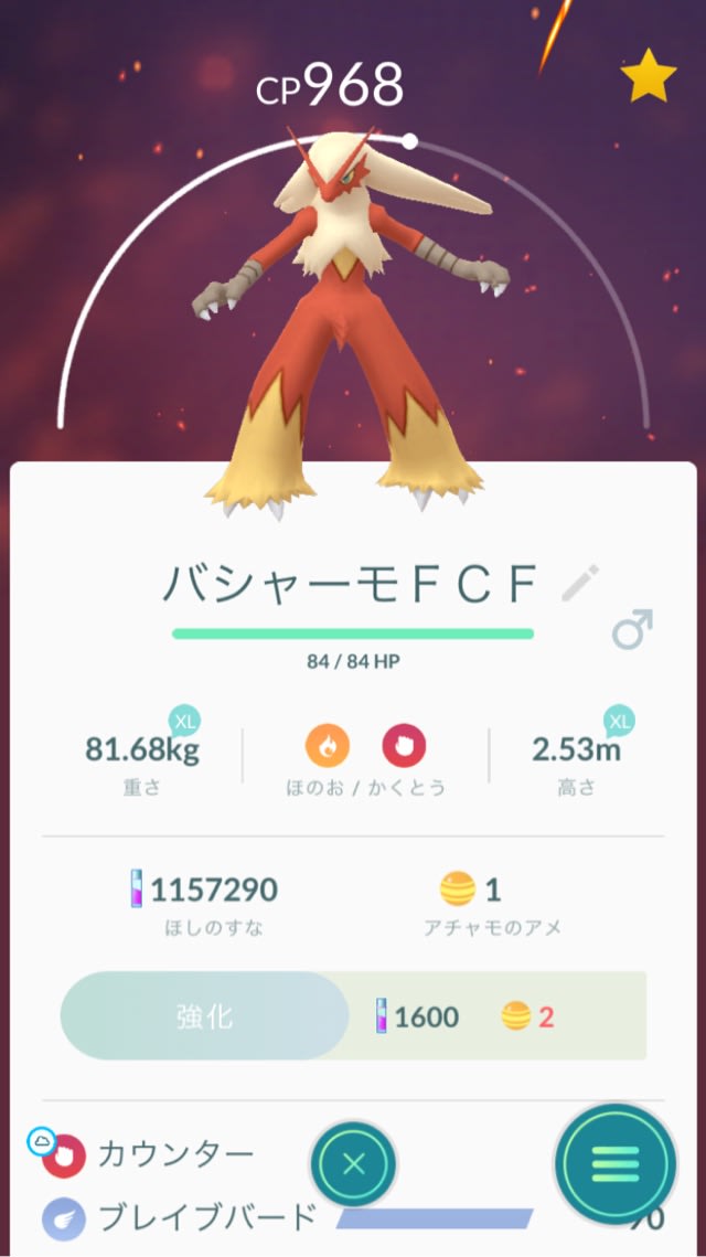 アチャモ進化！ - oregonducksの溜め息