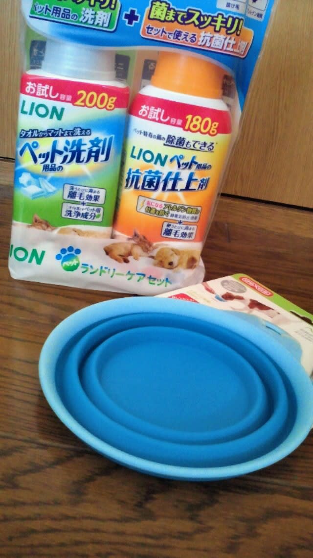 新しいぺったんこボウルと犬用洗濯洗剤 柔軟剤 只今家庭犬輸送中 ボーダーとゴールデンの日常的なblog 新しいぺったんこボウルと犬用洗濯洗剤 柔軟剤 只今家庭犬輸送中 ボーダーとゴールデンの日常的なblog