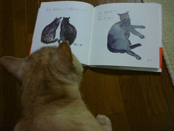 榎木孝明さん 「猫のくすっ」 - 球ちゃんとの ひねもすブログ 榎木孝明さん 「猫のくすっ」 - 球ちゃんとの ひねもすブログ