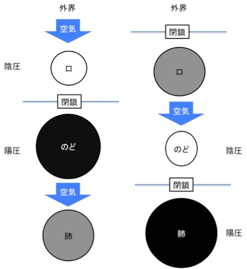 カエル呼吸（舌咽頭呼吸）のメカニズムを再考する - 東埼玉病院