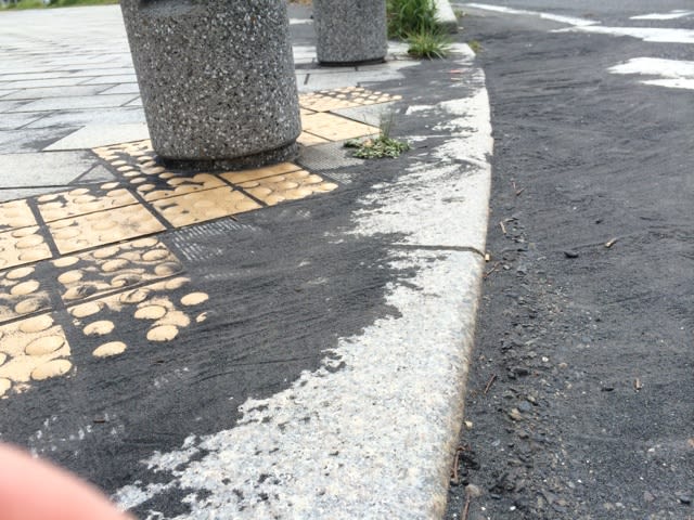 UCHIDASウチダス火山灰 桜島 500g: 理科