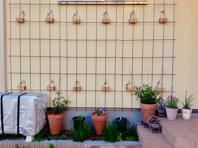 植物支柱 植木鉢のための庭のマルチファクトトレリス