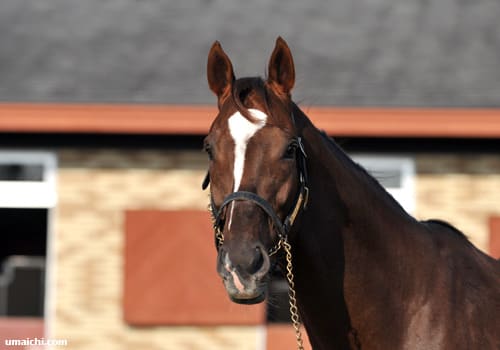 2歳新馬】スワーヴリチャード産駒が驚異の古馬超えレコードで