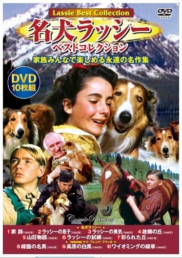 春先取りの 世界少女名作全集 13 名犬ラッシー エリク・ナイト／著 岩崎書店 その他