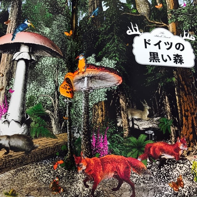 世界で一番美しい絵本図鑑『ワンダーガーデン 生命の扉』 - 帽子