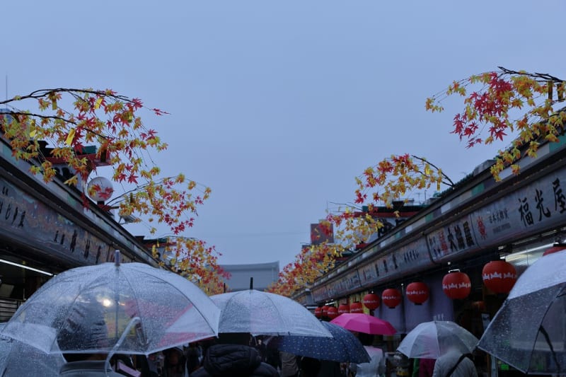 ○東京へ⑦ 雨の浅草寺(せんそうじ)浅草観音 雷門 仲見世 宝蔵 ○東京へ⑦ 雨の浅草寺(せんそうじ)浅草観音 雷門 仲見世 宝蔵