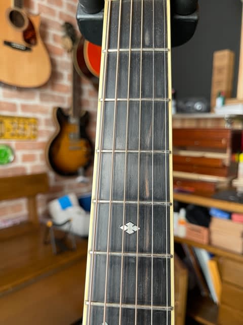 Blue Bell W500 Made by TAMA - MikawaBlues（三河ブルース