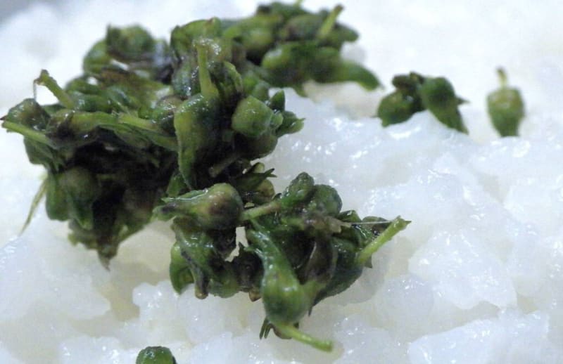 しその実の塩漬け 醤油漬け 佃煮３種を作った ランシモ