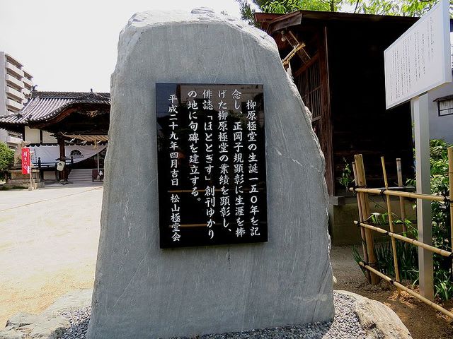 俳人 愛媛県松山 柳原極堂 短冊 正岡子規 書