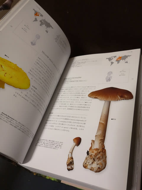 世界きのこ大図鑑』 - 月刊 きのこ人
