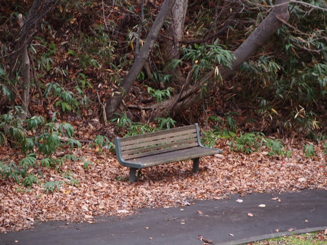 公園のベンチには 透明な気圏の中から 公園のベンチには 透明な気圏の中から