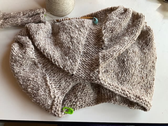 毛糸だま187 より サイチカ先生デザインのラグランプルオーバー