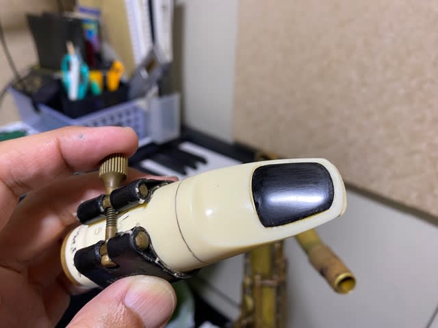 トナリン、家に帰る。 - Saxophonist 宮地スグル公式ブログ
