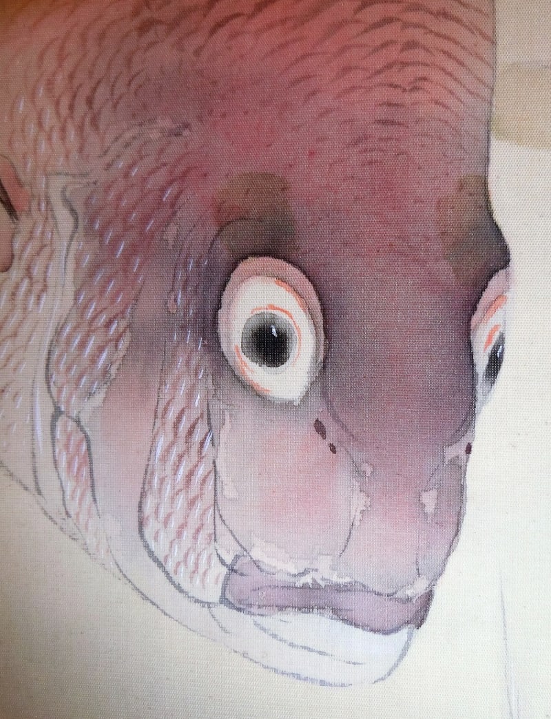 忘れ去られた画家 游鯛図 中村左洲筆 - 夜噺骨董談義 忘れ去られた画家 游鯛図 中村左洲筆 - 夜噺骨董談義