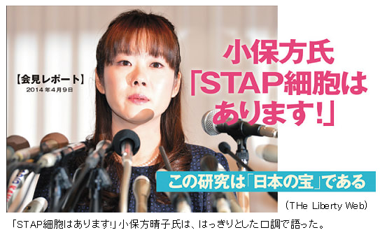 Stap細胞は存在するか 小保方氏の本心を 量子もつれ の原理を使って探る Yes We Love Science Stap細胞は存在するか 小保方氏の本心を 量子もつれ の原理を使って探る Yes We Love Science