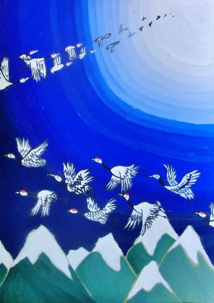 フヨウカタバミ（芙蓉片喰）」 カタバミ科 - ひげ爺さんのお散歩
