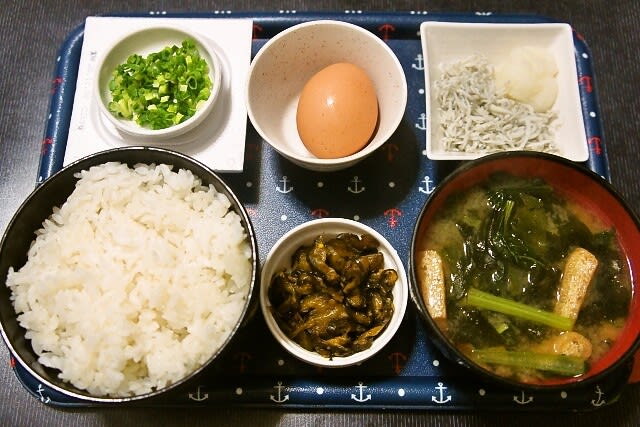 家で朝ご飯 新米 ふさおとめに小松菜と油揚げとわかめの味噌汁 納豆 生卵 しらすおろし 葉唐きゅうり漬 年11月2日 マース 塩 のブログ