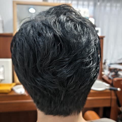 愛帽 アイスジャパン社製 頭皮冷却帽子 抗がん剤副作用対策 冷却 愛帽 アイスジャパン社製 頭皮冷却帽子 抗がん剤副作用対策 冷却