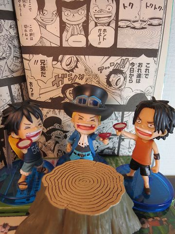 ワーコレ HISTORY OF SABO - 南国の遊び部屋